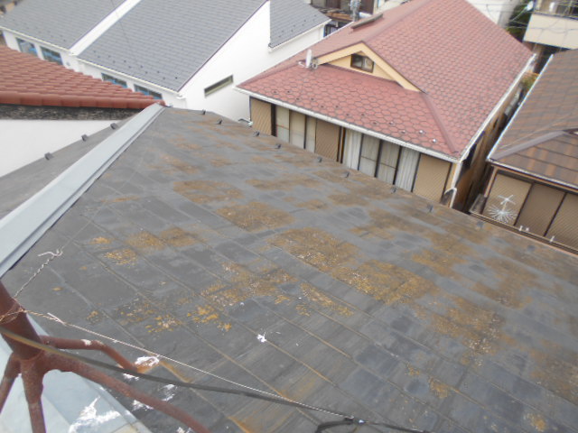 施工前　屋根